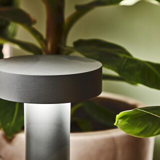 Tesla PT4 small antracite