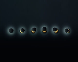 außergewöhnliche LED Wandleuchte Ara schwarz