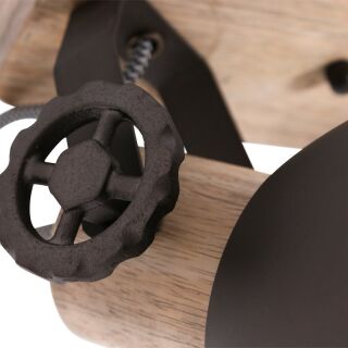 Steinhauer 2-fach Deckenspot Mexlite Gearwood anthrazit Holz