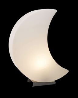 8 Seasons Design Dekoleuchte Shining Moon LED RGB 60 cm...
