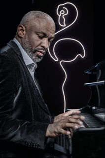 Mantra Wandleuchte Trazos Flamingo LED schwarz