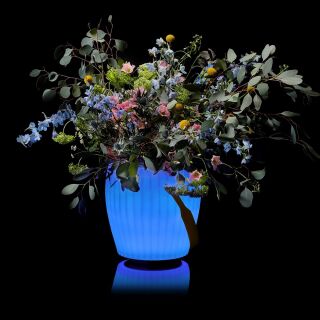 The Joouly Bowl L Design LED Lampe inkl. Bluetooth Lautsprecher