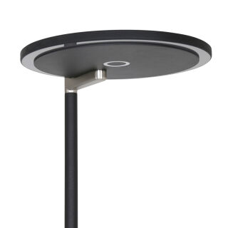 Steinhauer Stehleuchte Turound LED Rauchglas schwarz