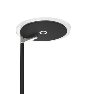 Steinhauer Stehleuchte Turound LED Klarglas schwarz
