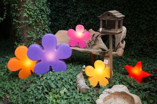 8 Seasons Design Motivleuchte Shining Flower 40 cm pink