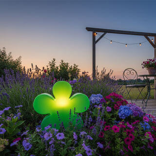 8 Seasons Design Motivleuchte Shining Flower 40 cm grün