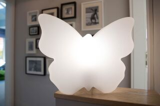 8 Seasons Design Motivleuchte Shining Butterfly 40 cm weiß