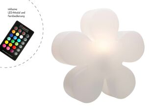 8 Seasons Design Motivleuchte Shining Flower LED RGB 60 cm weiß