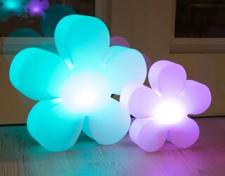 8 Seasons Design Motivleuchte Shining Flower LED RGB 60 cm weiß