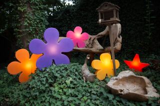 8 Seasons Design Motivleuchte Shining Flower 60 cm lila