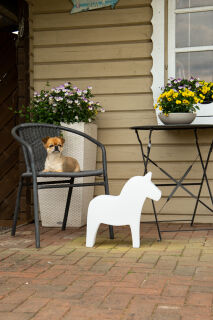 8 Seasons Design Motivleuchte Shining Horse 43 cm weiß