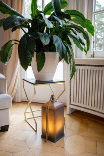 8 Seasons Design Motivleuchte Shining Lantern 45 cm anthrazit