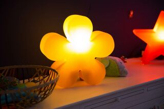 8 Seasons Design Motivleuchte Shining Flower Solar 40 cm orange