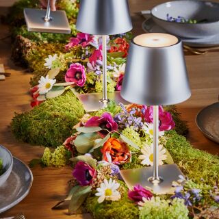 Sigor Nuindie mini 25 silber rund Akku-Tischleuchte LED