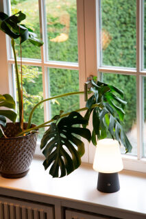 8 Seasons Design Akku Tischleuchte No. 1 anthrazit RGB LED 30 cm