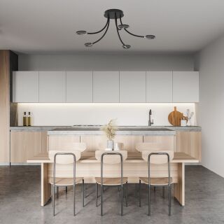 Steinhauer Turound Deckenleuchte Rauchglas schwarz LED