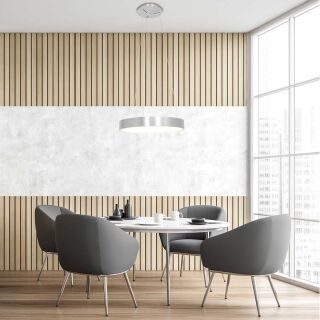 Steinhauer Ringlede 48 silber Pendelleuchte LED