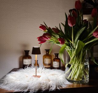 Sompex Troll Nano Akku LED Tischleuchte Outdoorleuchte rosegold