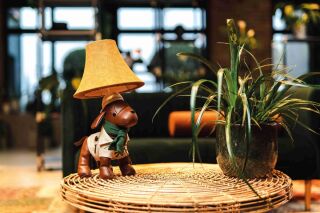 Spike der selbstbewusste Jagdhund