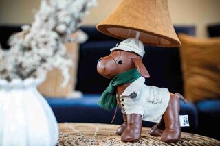 Spike der selbstbewusste Jagdhund