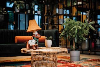 Spike der selbstbewusste Jagdhund