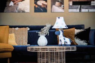 Finn das freudige Pferd