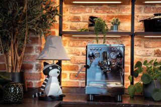 Ben der schelmische Waschbär