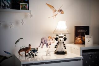 Ben der schelmische Waschbär