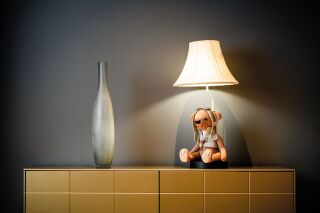 Charles der abenteuerlustige Bär