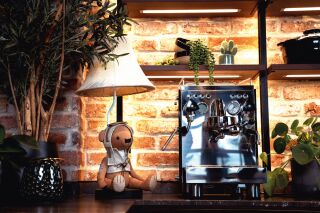 Charles der abenteuerlustige Bär