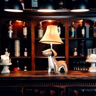 Waldi der charakterstarke Dackel