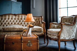 Waldi der charakterstarke Dackel