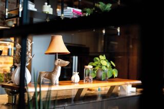 Waldi der charakterstarke Dackel