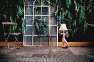 Mingo der feinfühlige Flamingo