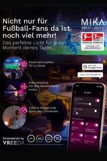 8 Seasons Design Shining Globe mit MIKA Fußball Licht 60cm