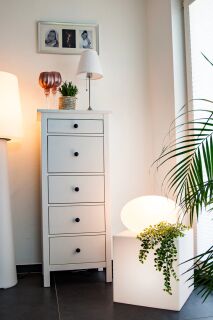 8 Seasons Design Shining Eye Solar