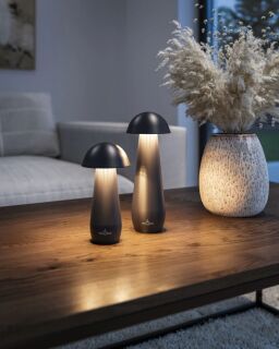 Villeroy & Boch Modena 21cm Akku LED Tischleuchte schwarz