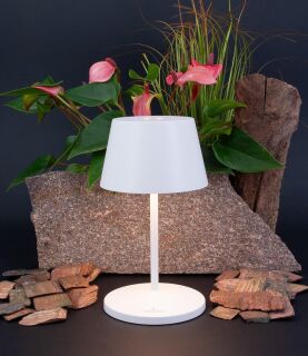 Villeroy & Boch Seoul RC roségold Akku LED Tischleuchte