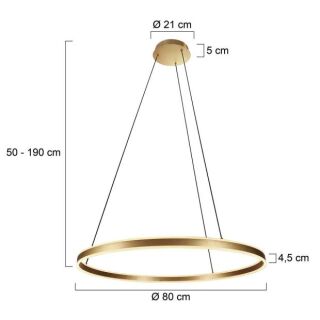Steinhauer Ringlux Pendelleuchte LED gold 80cm