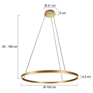 Steinhauer Ringlux Pendelleuchte LED gold 100cm
