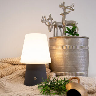 8 Seasons Design Akku Tischleuchte No. 1 anthrazit RGB LED 30 cm