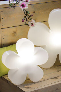 8 Seasons Design Motivleuchte Shining Flower 60 cm weiß