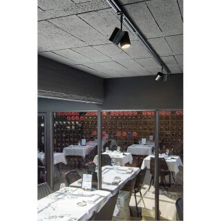 BIMA II Leuchtenkopf, schwarz, 2xGU10, max. 50W, inkl. 1P.-Adapter